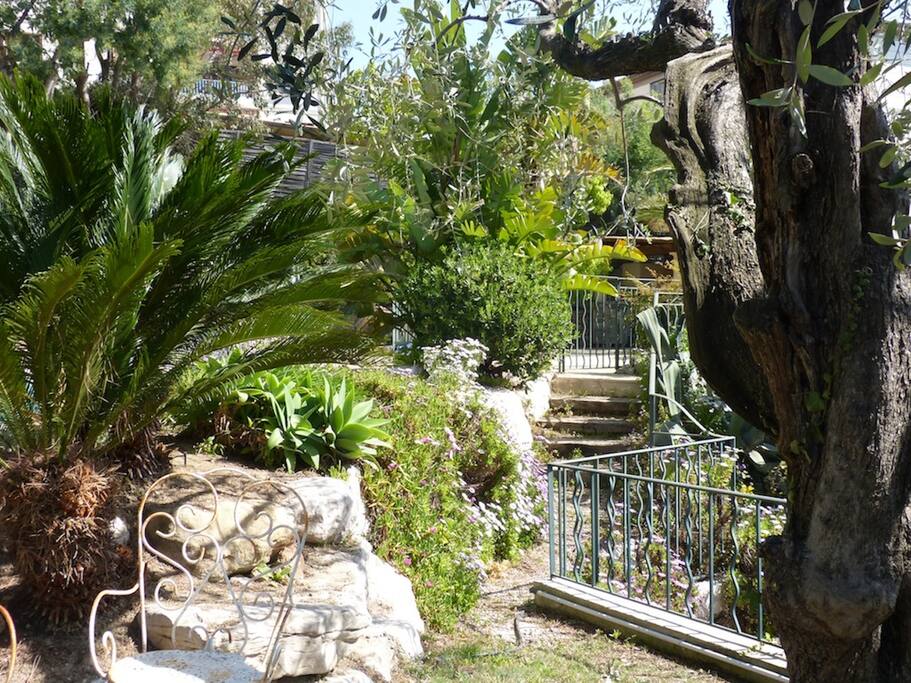 Jardin paysager avec des espaces de détente