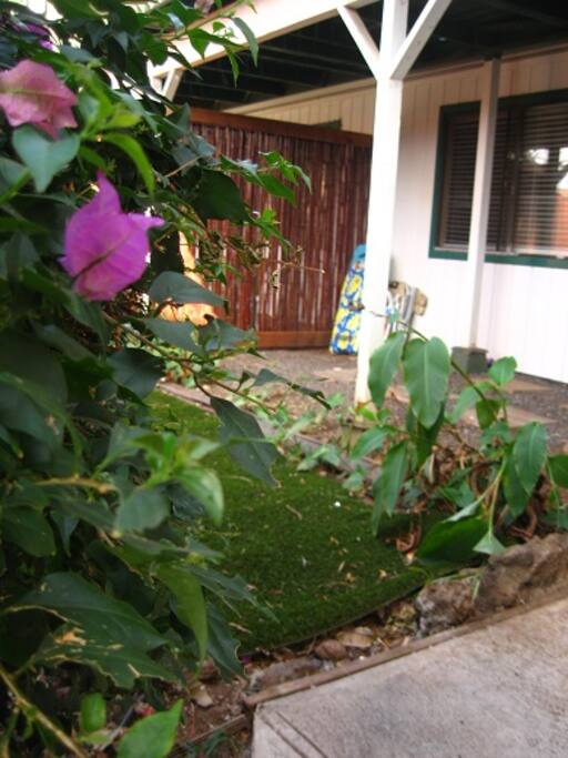 Close-up Entrance View