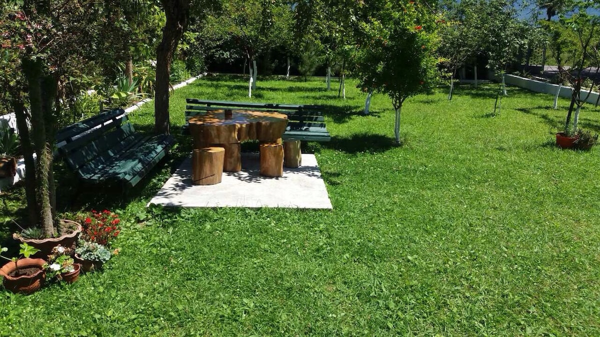 A spacious outdoor area is featured, covered in lush green grass. Wooden seating is arranged around a stone table, surrounded by trees and various plants. The setting provides a serene environment for relaxation, with natural light filtering through the foliage.
