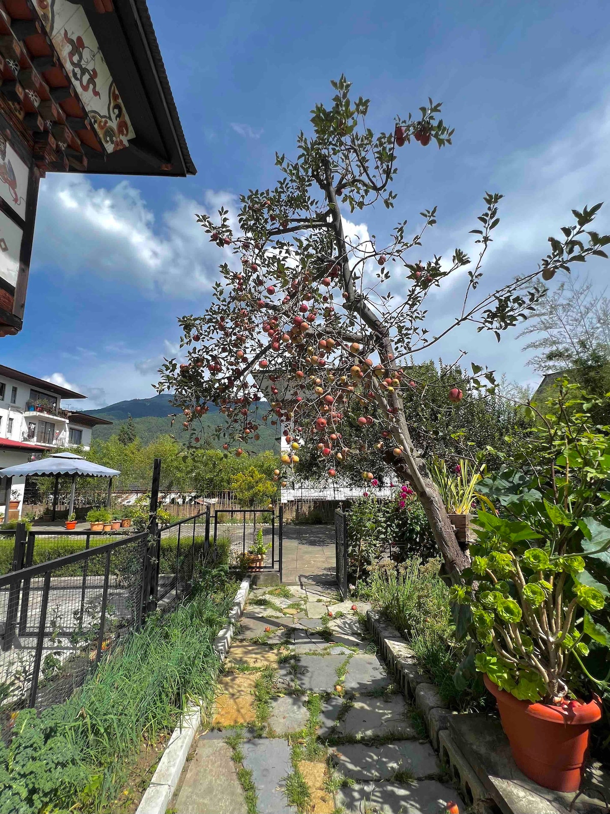 A serene garden pathway is surrounded by lush greenery and colorful flowering plants. A fruit tree with ripe apples stands prominently, framing the scene against a backdrop of blue skies and distant mountains. Stone slabs form a rustic walkway leading through the garden.