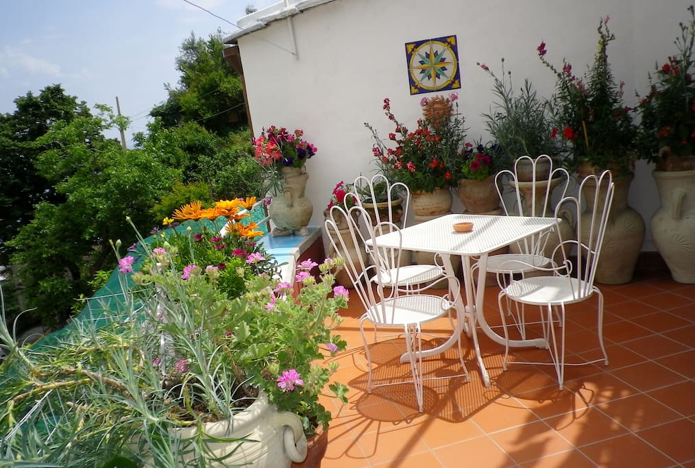 Flowers Filled Terrace
