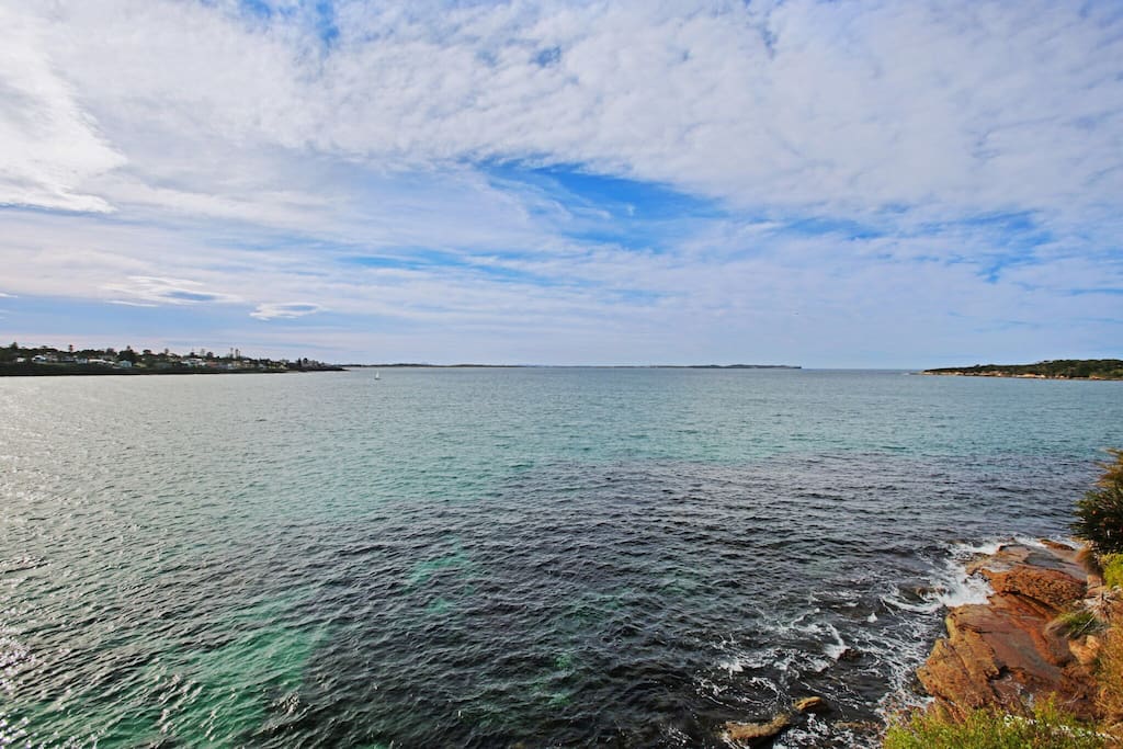 View from the lawn, absolute oceanfront!