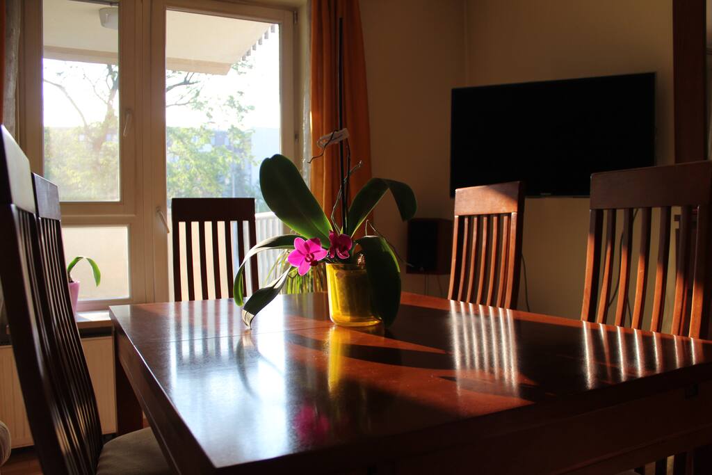 Living room/ Bedroom 2