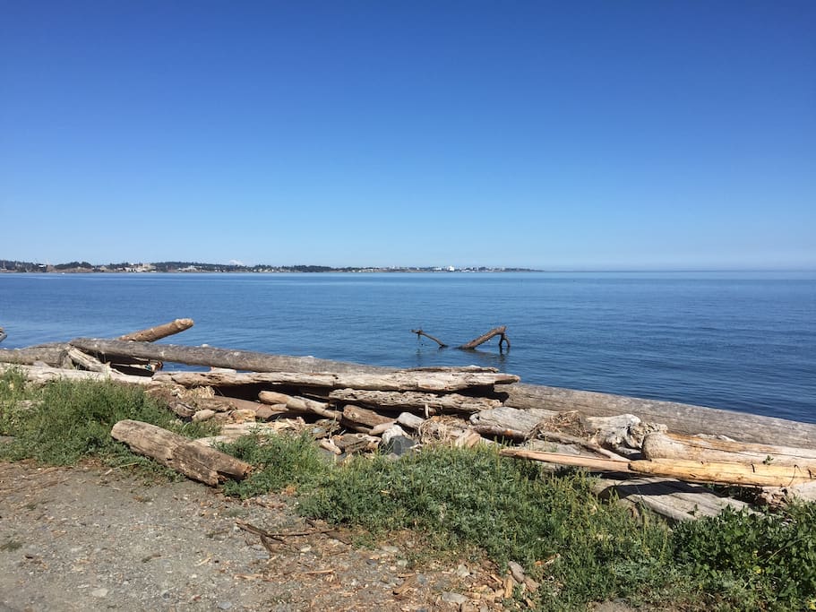 Esquimalt Lagoon... 5 minute walk from the house.