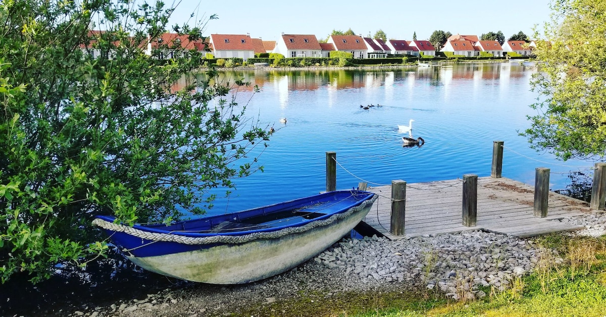 A serene lakeside view captures a blue boat tied to a wooden dock, surrounded by greenery. The calm water reflects nearby houses with red rooftops, while ducks and a swan can be seen gliding across the surface.