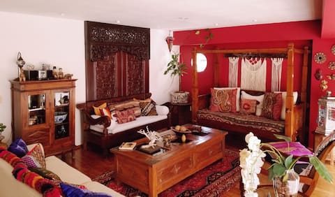 Successful Airbnb property: Casa Perote Mexico in Lomas De Chapultepec