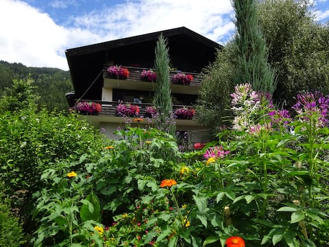 Anemoon, dream view!