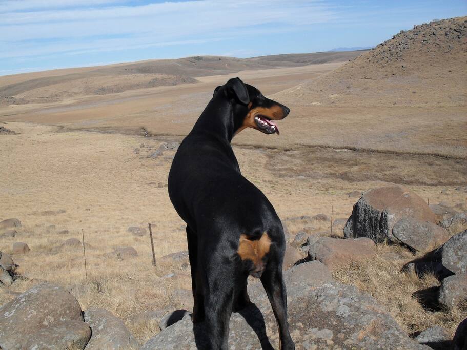 The view over the source of the Umgeni River