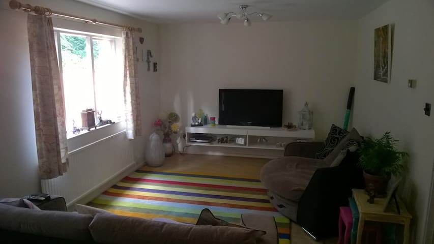 Spacious bright single room