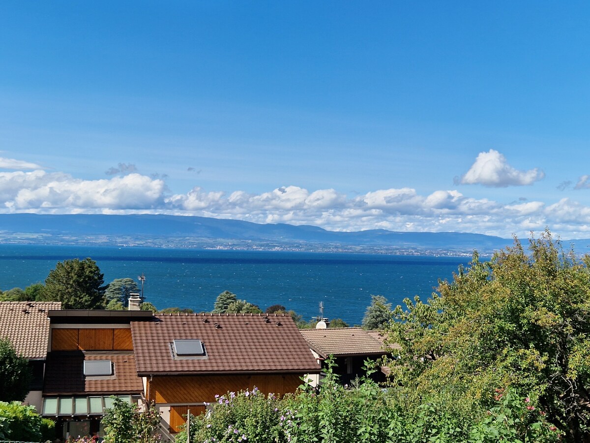 A panoramic view reveals a tranquil lake bordered by mountains in the distance. The blue sky is adorned with soft clouds, while the surrounding greenery adds a natural frame to the scene. The image showcases a calm and scenic landscape.
