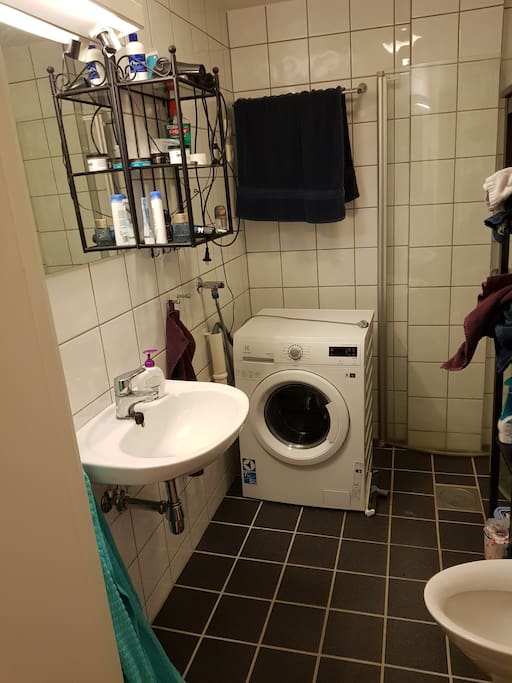 Bathroom w shower and combined washing machine / dryer