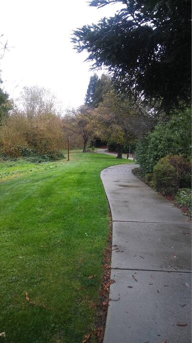 Walking path to grocery store and shops