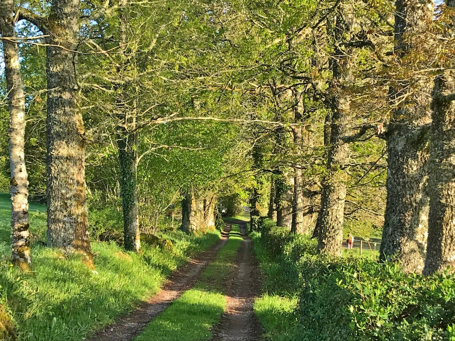 Arrivée dans un écrin de verdure