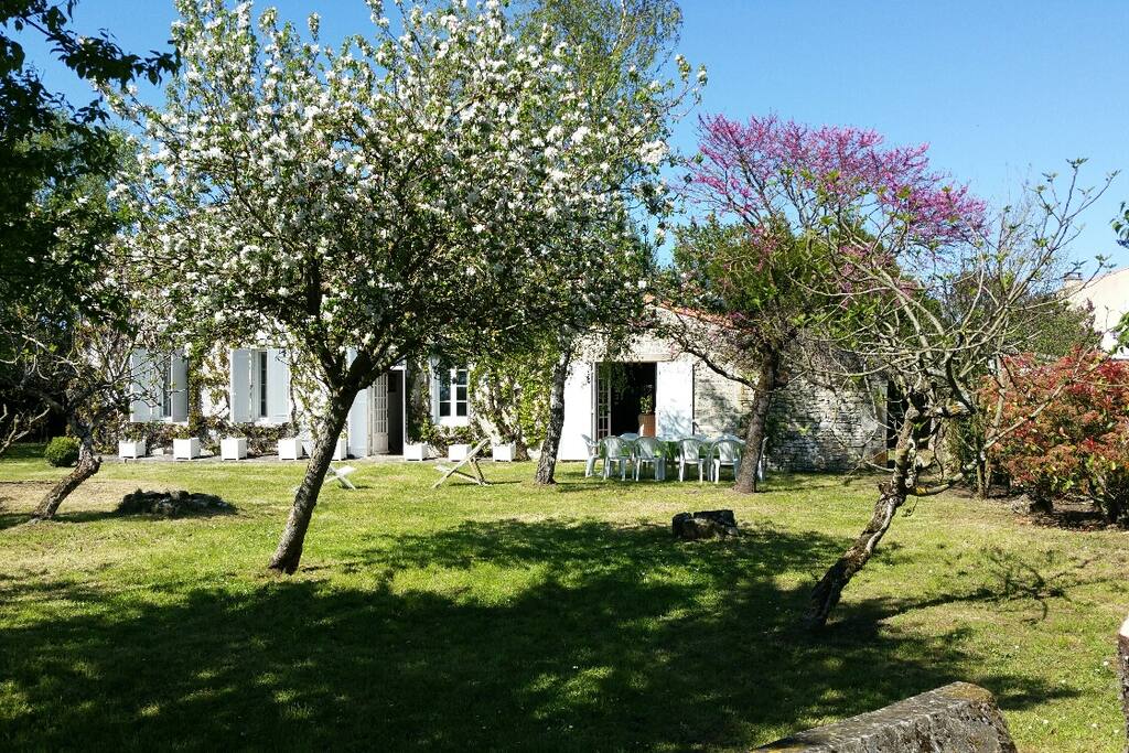 Vue de la maison en avril