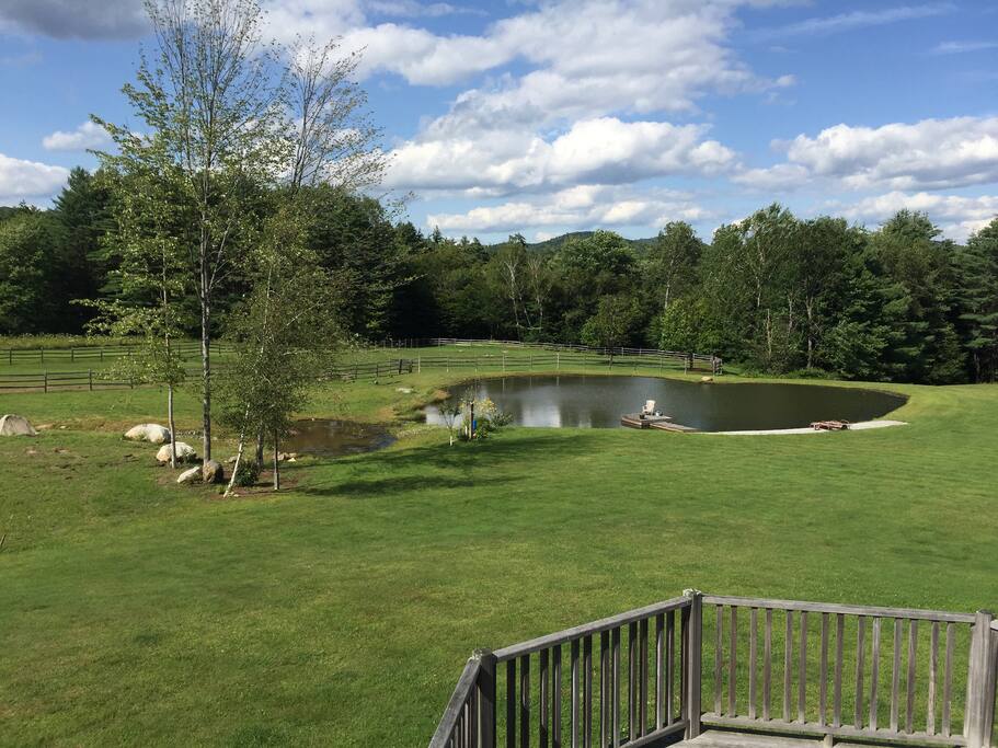 View From the Deck