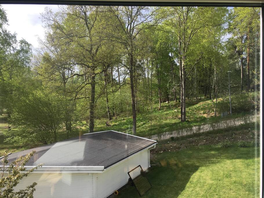Living next door to a park