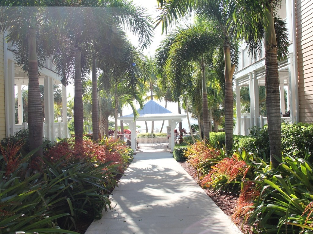 A shaded pathway lined with lush tropical plants and palm trees leads to an open gazebo. Bright green and reddish foliage creates a natural border on either side. Soft sunlight filters through the leaves, casting gentle shadows on the walkway.