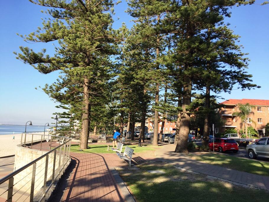 Walking Path by the beach