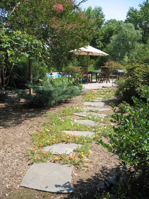 Path to pool