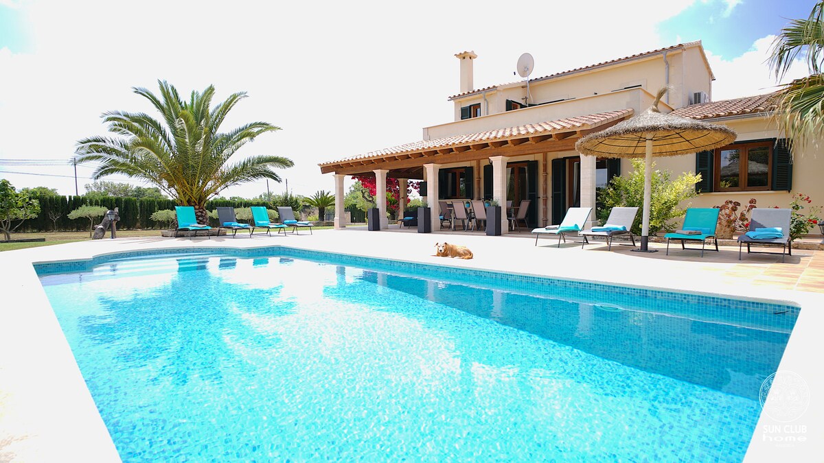 A spacious outdoor area features a crystal-clear swimming pool, surrounded by lounge chairs. A palapa offers shade, while a large palm tree adds a tropical touch. The villa's exterior showcases multiple windows and a Mediterranean-style architecture, with greenery in the background.
