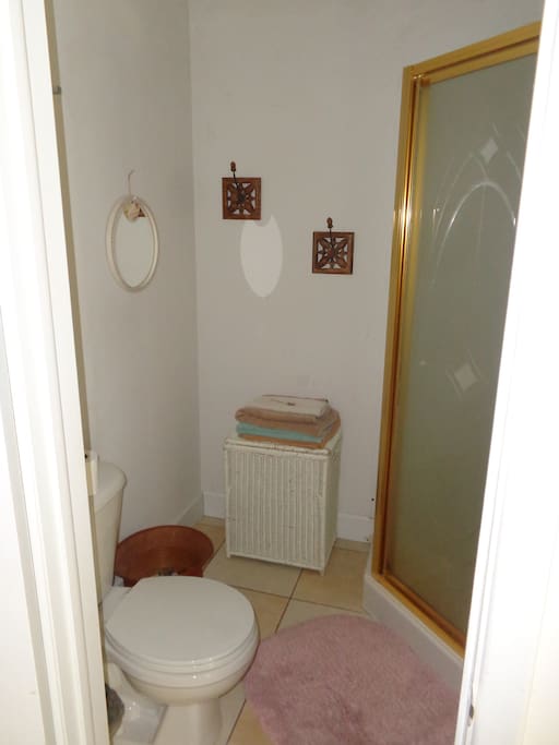 Bath Shower and toilet view