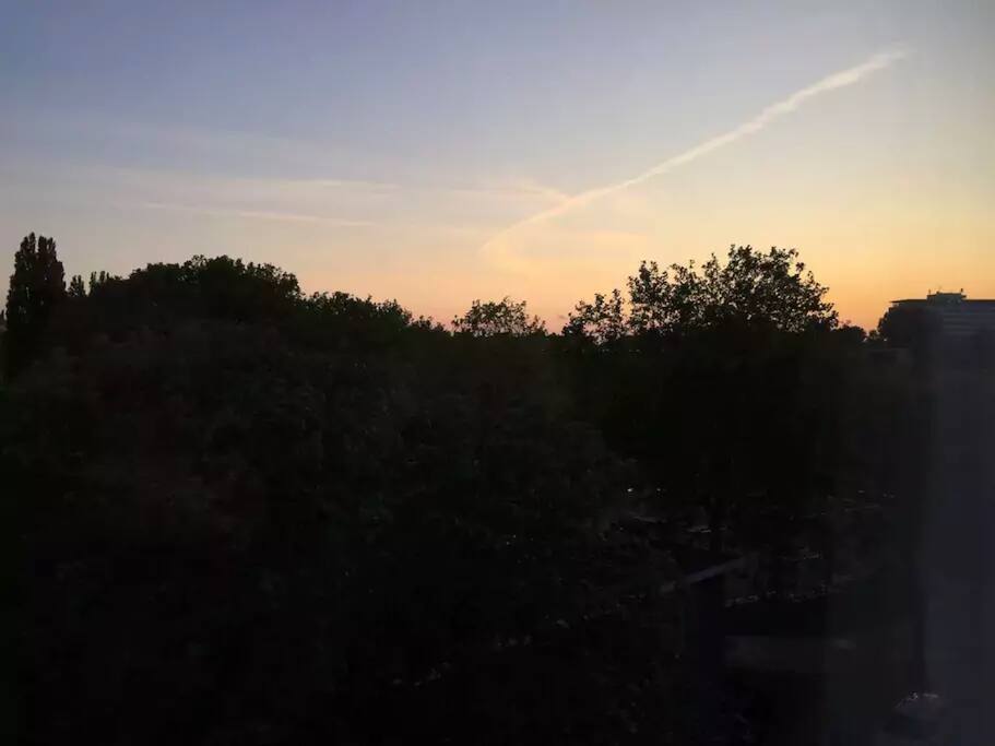 View from bedroom