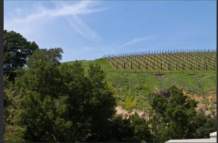 Lake Casitas #14 Ultimate Fishing Winery View! - California
