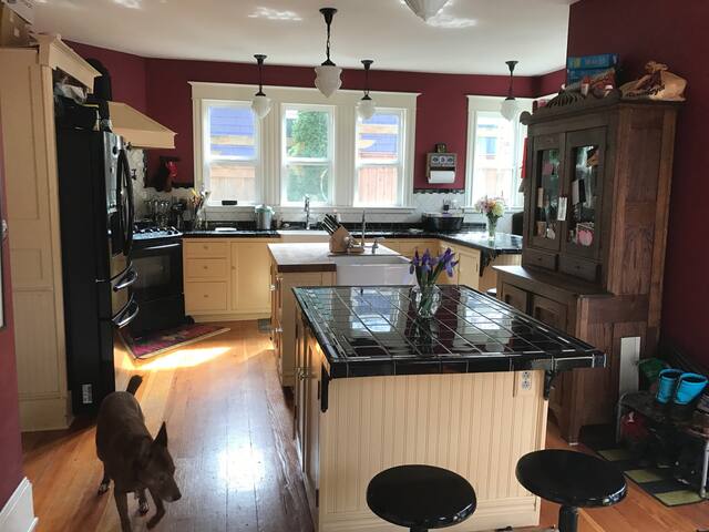 Central District Gem gallery image 5