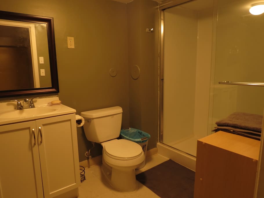 Private bathroom with huge shower