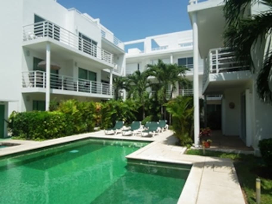Pool and tropical garden