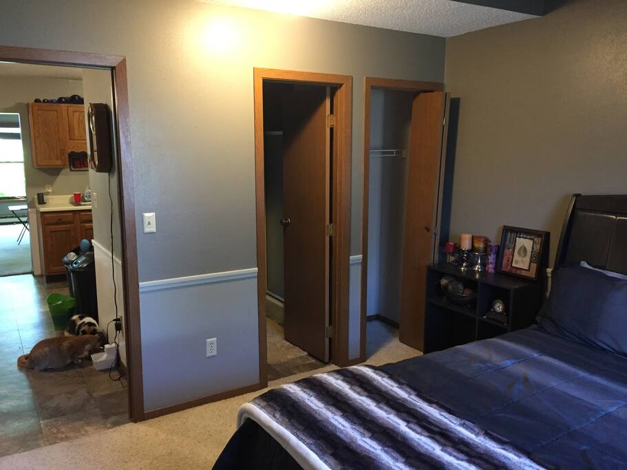 Downstairs bedroom