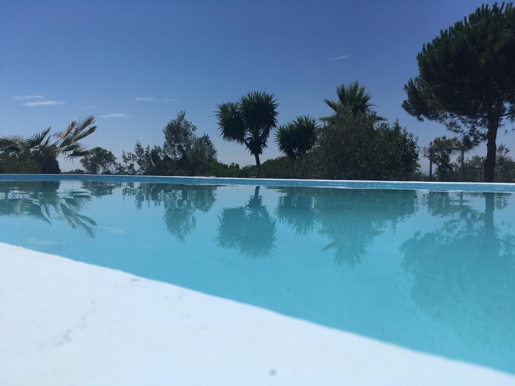 The private swimming pool features a clear blue surface, reflecting the surrounding palm trees and vegetation. The tranquil waters create a serene environment, ideal for relaxation under the bright sky.