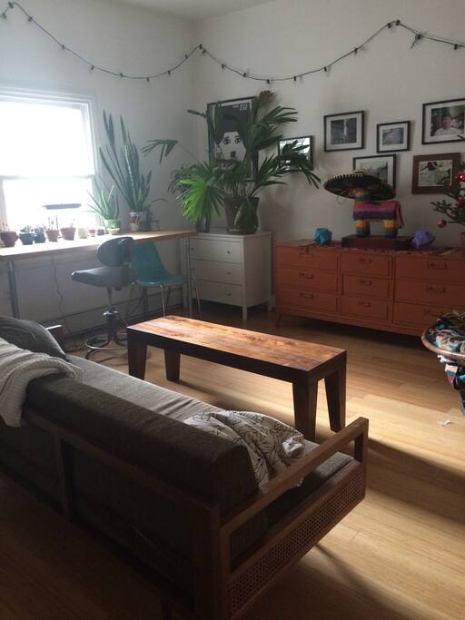 Stylish, plant filled living