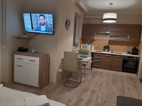Manna Kölcsey Apartment