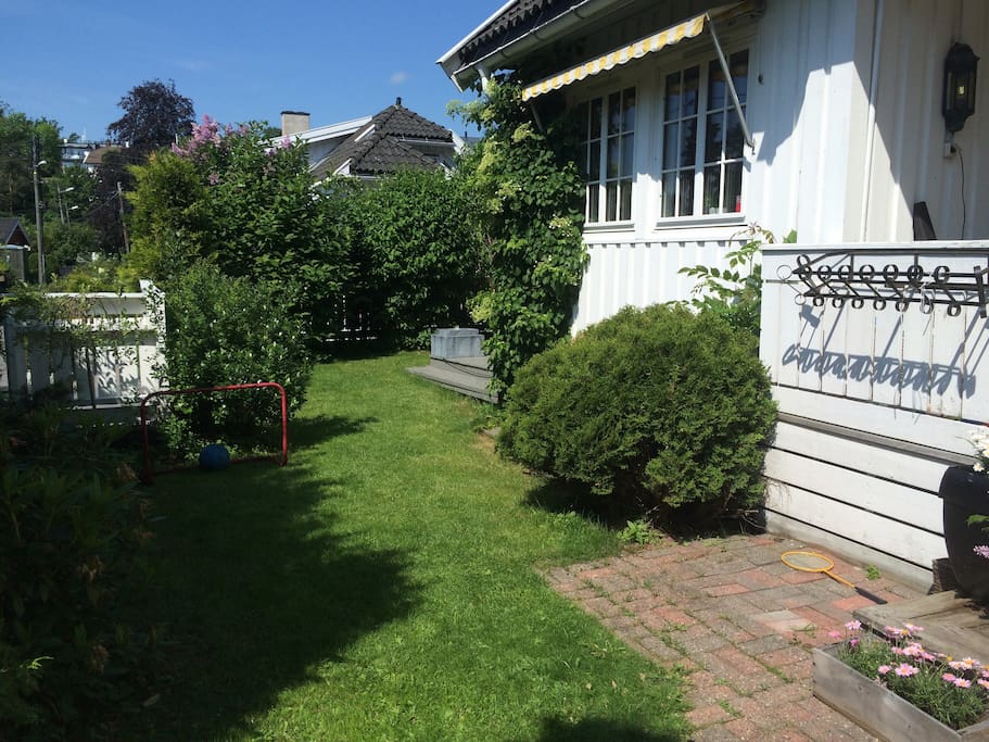 Spille fotball?