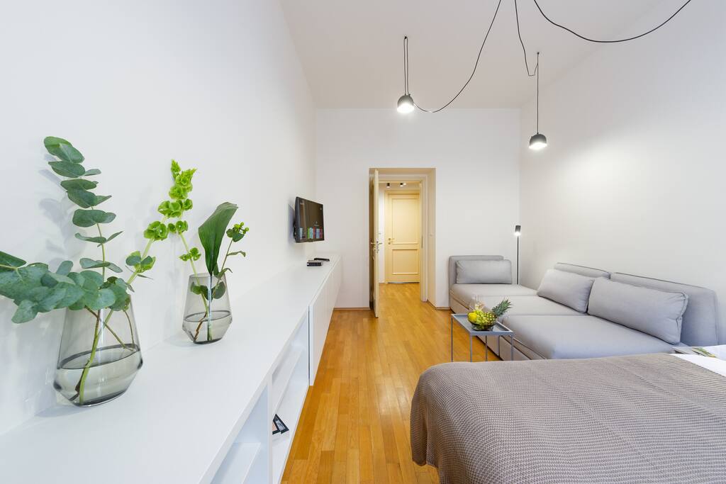 Deluxe spacious apartment with king size bed and sofa