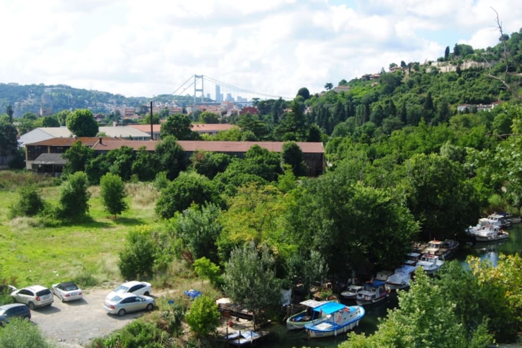 view from the roof