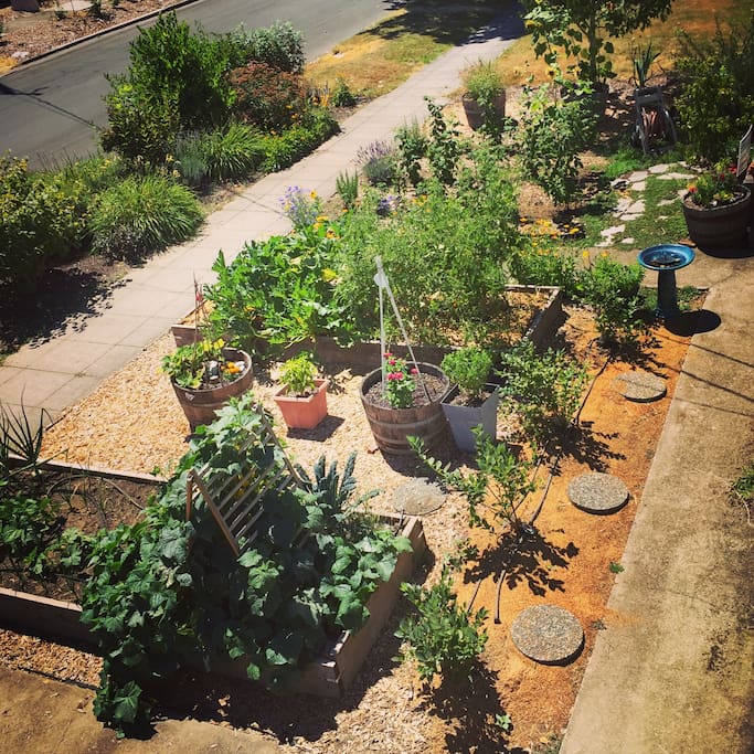 View from the second floor patio.