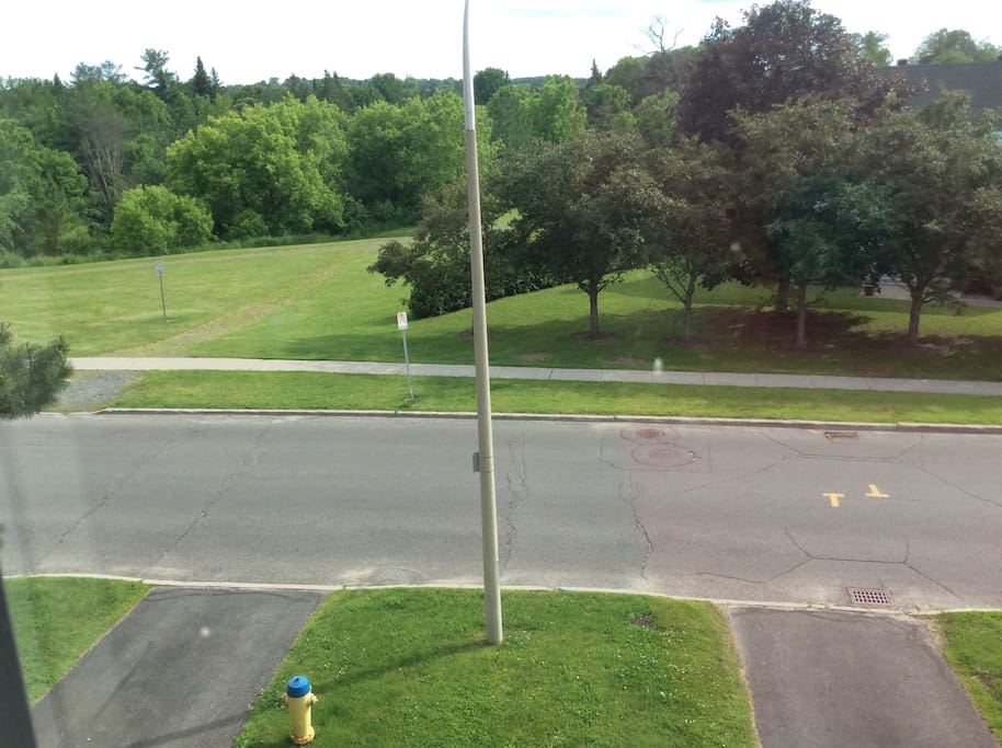 Vue à partir de la chambre/parc