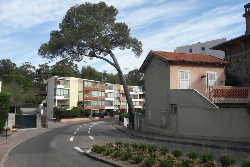 Avenue Frédéric Mistral