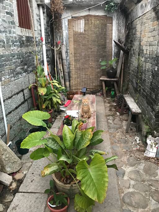 前院