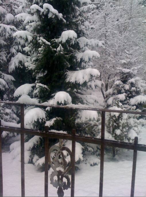 Garden view in winter.