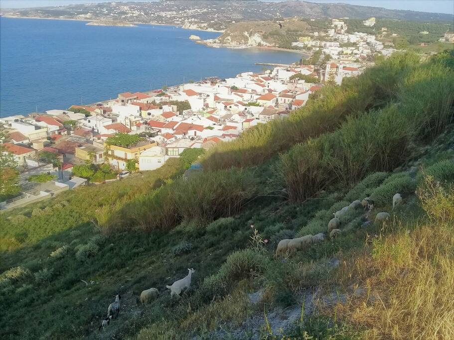 The town
