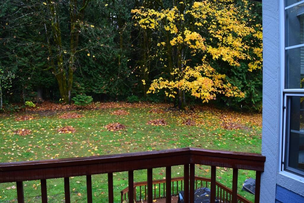 Back patio