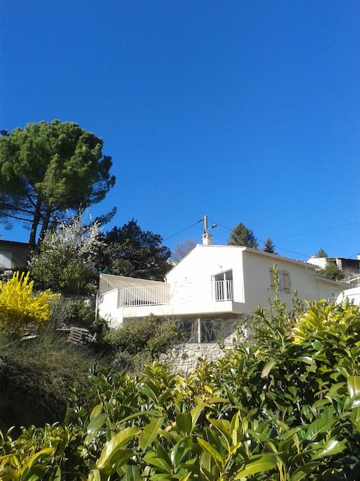 Le Studio Paradis, sous la Citadelle...