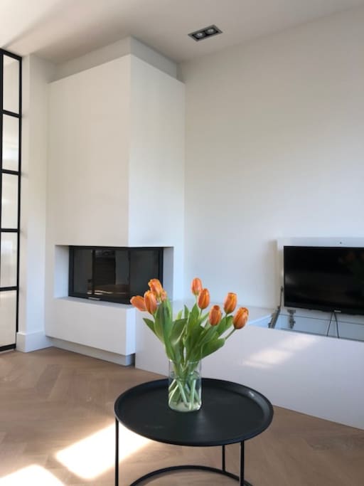 Fireplace and TV