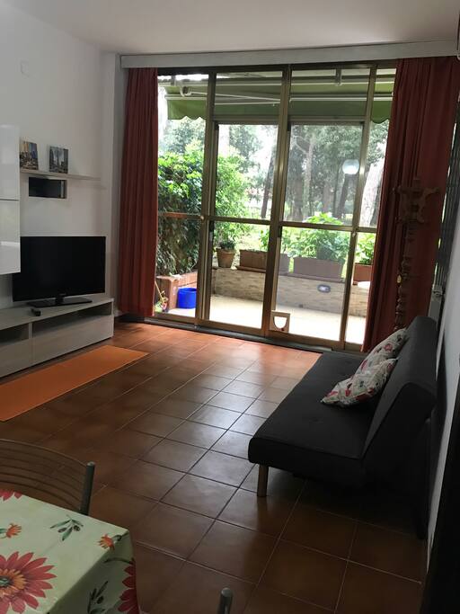 La spaziosa sala con divano letto.