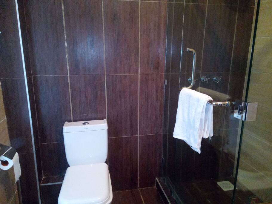 private bathroom with modern shower closet