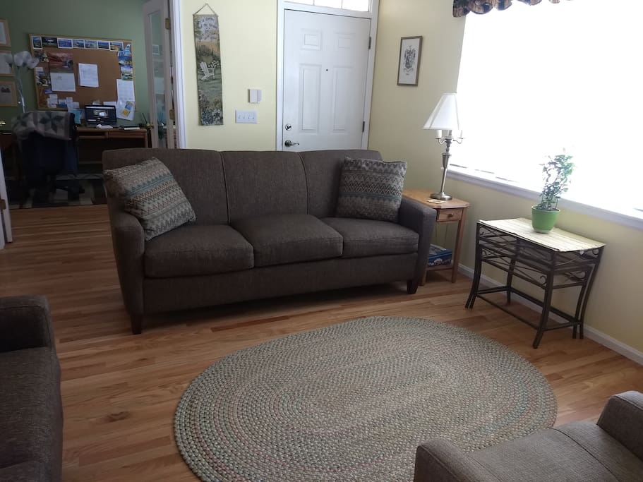 Living room-feel free to hang out & talk