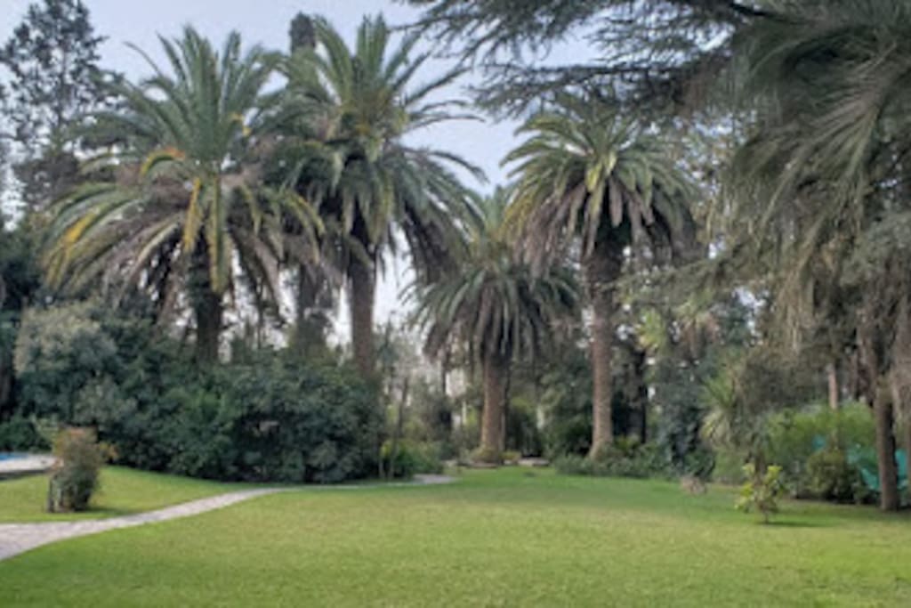 Parque de la quinta